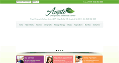 Desktop Screenshot of amatowellness.com